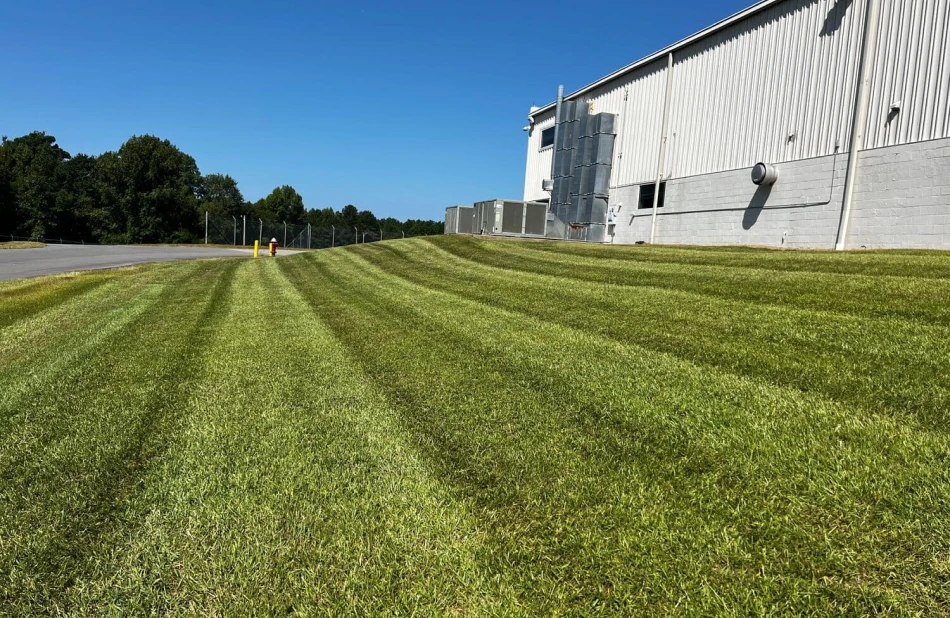 Commercial Landscaping